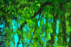 Impressionist Refections