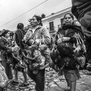 © Francisco Alcala Torreslanda