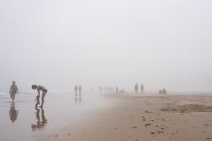 Fog 6