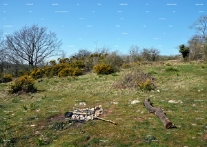 Common Lands (detail)