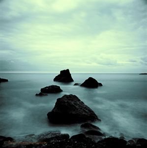 © Sahin Domin