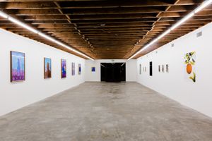 Daniel Terna & Evan Whale, Exhibition View, Courtesy LY Gallery, 2019