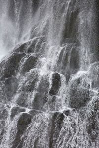Foss 26