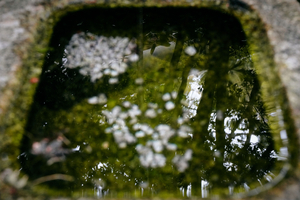 KarmaMirror