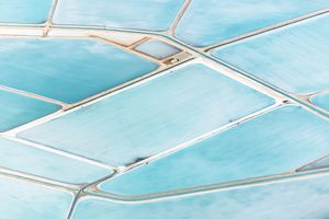 Blue Fields No 9