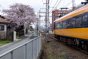 Train, Ise