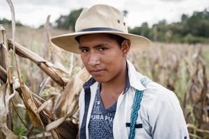 Portrait of a corn picker