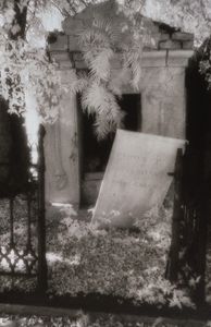 Odd fellows rest, tomb with fern