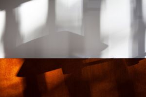 the shadow of silence