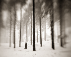 Navigating the Forest
