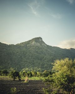 tazara.077