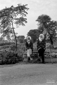 Old friends  | Dhanda, Punjab.