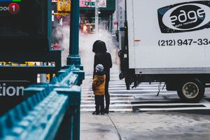 The Protector