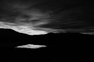 After the rain #10