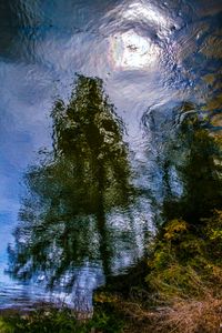 Liquid Sky 01