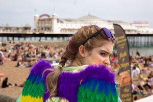 Looking over the Brighton Pier