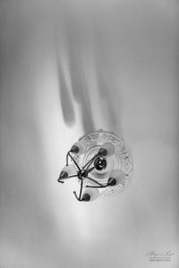 Still Life | 12