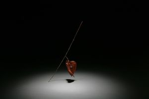 Libretto of Ballet (series)