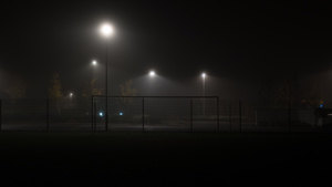 On a foggy night #1