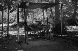 Roadside Barbecue