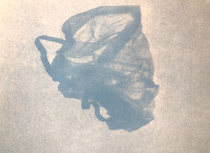 From "The New Identity" series