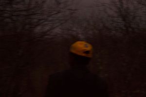 They took me to hunt during at night, but I had no flash.