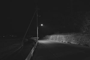 Scenery with the way of the hometown Ⅴ