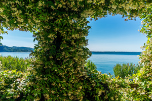punta san vigilio