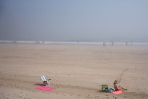 Fog 1
