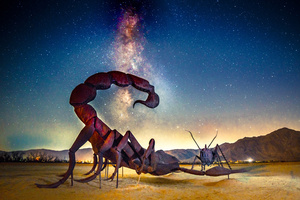 Battle at Borrego Springs