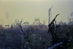 erasure of a landscape