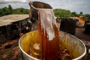 Palm oil