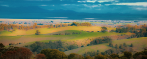 VIEW FROM A HILL