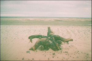 Winterton 4