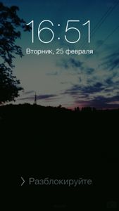 © Dim Bez