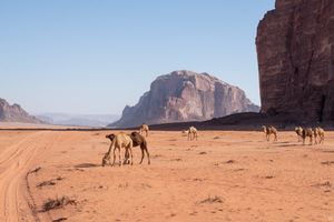 Wadi Rum, Jordania