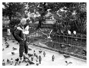 Patron des Pigeons