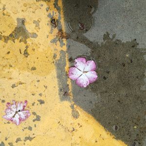 Tom Luciano - Untitled (2016)
