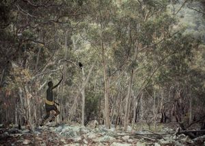 Black Birds and The Bushmen VII