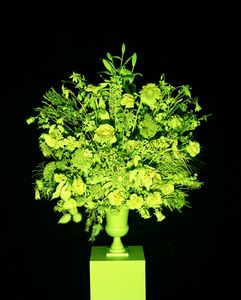 Flowers in Green