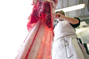 Slaughterhouse On Wheels - 03