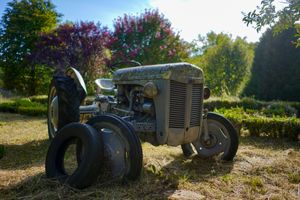 The butcher who wanted to be a mechanic