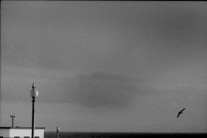 Ericeira, 2000