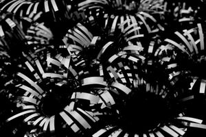 Dichotomy of Existence 05