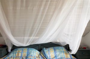 The Mosquito Net, Germany © Astrid Reischwitz