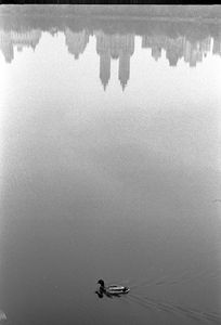New York, 2009