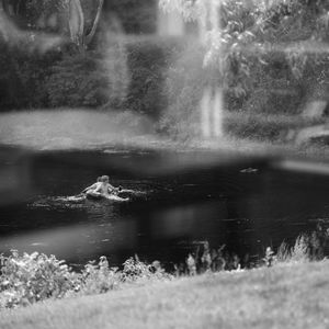 Tom & Huck © Abbey Box