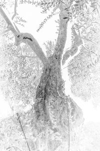 Old as Cold Water 6