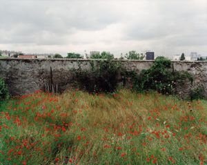 Montreuil paysage public