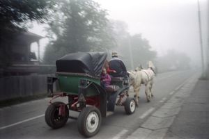 Cinderella's Carriage before arriving at the ball